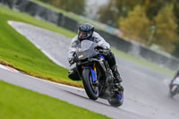 PJ-Motorsport-Photography-2020;anglesey;brands-hatch;cadwell-park;croft;donington-park;enduro-digital-images;event-digital-images;eventdigitalimages;mallory;no-limits;oulton-park;peter-wileman-photography;racing-digital-images;silverstone;snetterton;trackday-digital-images;trackday-photos;vmcc-banbury-run;welsh-2-day-enduro